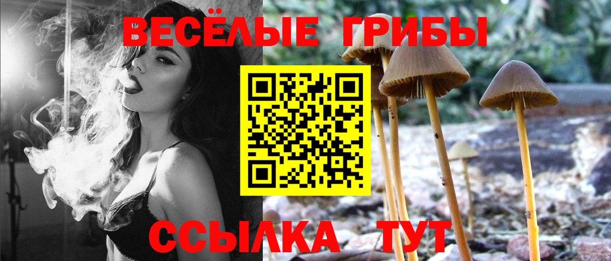 Волхов  Галлюциногенные грибы Magic Shrooms  Псилоцибиновые грибы Magic Shrooms  Вход с VPN 